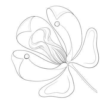 Outline flower hand drawing vector illustration isolated on white Illustrazione stock