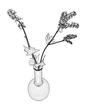 Outline of Flowers line drawing vector art in a vase for decoration. Line flower Stock Illustration