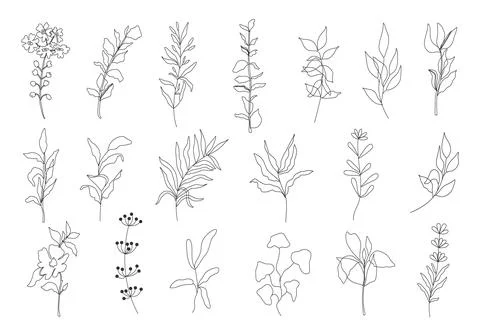 Outline flowers vector set. Black silhouettes of plants. Trendy simple floral Stock Illustration