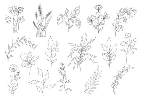 Outline flowers vector set. Black silhouettes of plants. Trendy simple floral Stock Illustration