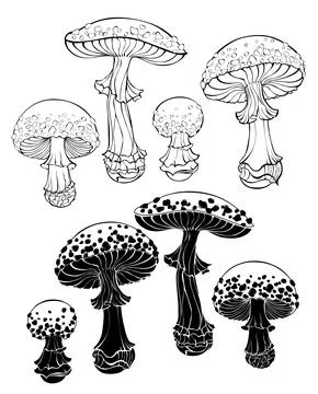 Outline fly agaric Stock Illustration