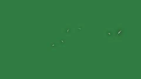 Outline Flying On Green Screen Chroma Key Background Stock Footage 338015887