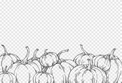 Outline group of pumpkins hand draw with brush style isolated on png or trans Illustrazione stock