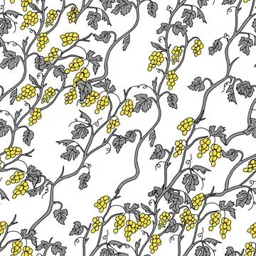 The Outline hand drawn vector illustration of a gray grape vine plants with y Stock Illustration