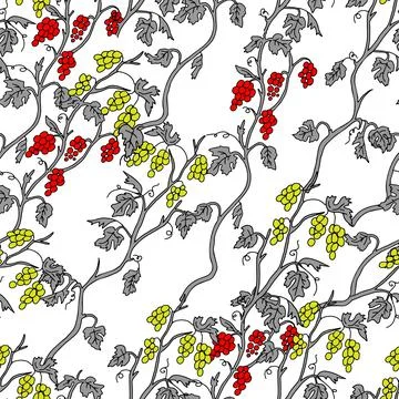 The Outline hand drawn vector illustration of a gray grape vine plants with y Stock Illustration