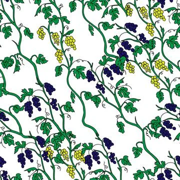 The Outline hand drawn vector illustration of a green grape vine plants with Stock Illustration