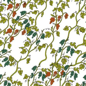 Outline hand drawn vector illustration of a beige grape vine plants with oran Stock Illustration