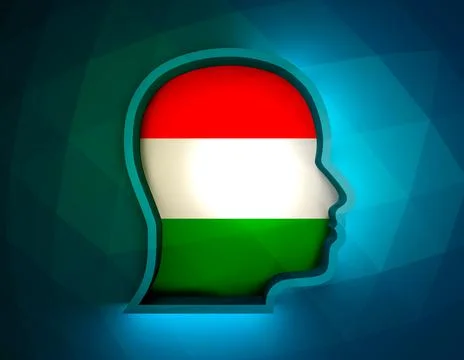Outline head silhouette Stock Illustration