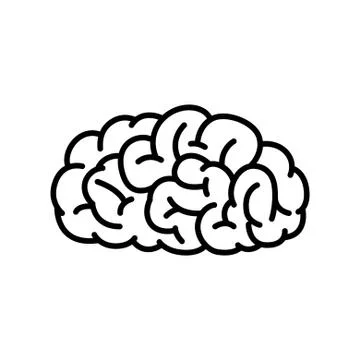 Outline Human Brain Stock Illustration