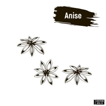 Outline image, anise. Stock Illustration