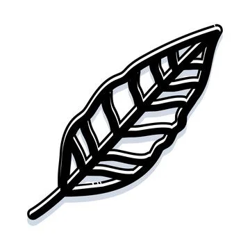 Outline leaf drawing black and white illustration 스톡 일러스트