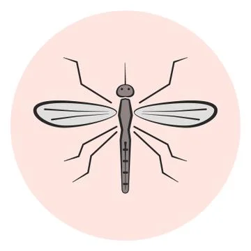 Outline mosquito icon Stock Illustration