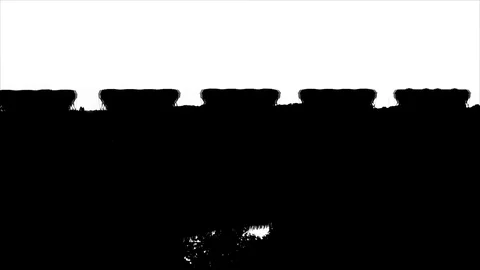 The outline of the movement of the train in dark colors on a white background Stock Footage 115500962