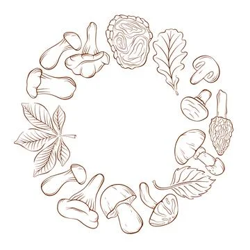 Outline mushroom and leaf line art style border. Hand drawn illustration for Stock Illustration