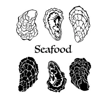 Outline oysters Stock Illustration