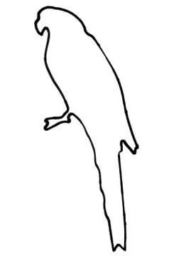 Outline of a parrot Ilustração Stock