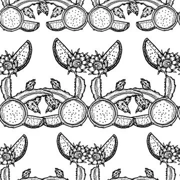 Outline pitaya seamless pattern. Dragon fruit background. Tropical fruit summ Stock Illustration