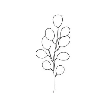 Outline plant eucalyptus leaf. One continuous line art decorative plant leaf Stock Illustration