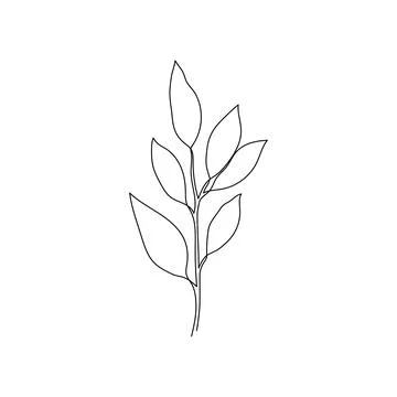 Outline plant eucalyptus leaf. One continuous line art decorative plant leaf Stock Illustration