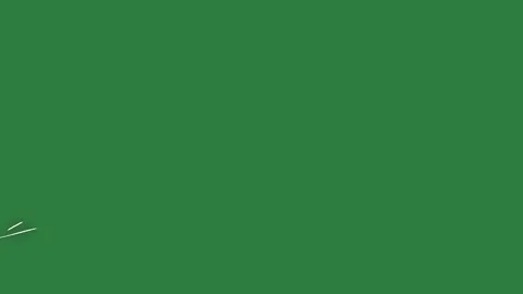 Outline Professional Isolated Green Screen Stock Video Stock Footage 338014543