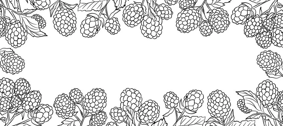 Outline Raspberry Frame Cartoon Vector Illustration with Line Berries Illustrazione stock