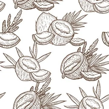 Outline retro pattern with half coconuts and leaves. Tropical summer fruit Stock Illustration