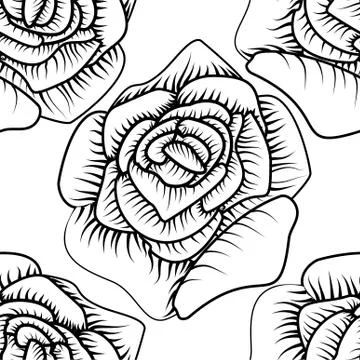 Outline rose on white background. Vector floral pattern. Background decoratio Illustrazione stock