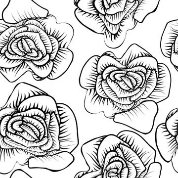 Outline rose on white background. Vector floral pattern. Background decoratio Illustrazione stock