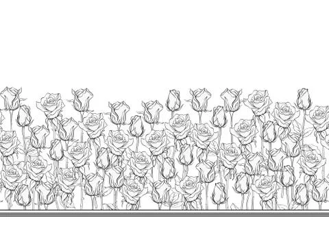 Outline roses seamless pattern, background. Stock Illustration