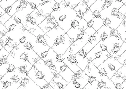 Outline roses seamless pattern, background. Stock Illustration