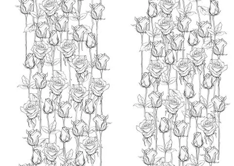 Outline roses seamless pattern, background. Illustrazione stock