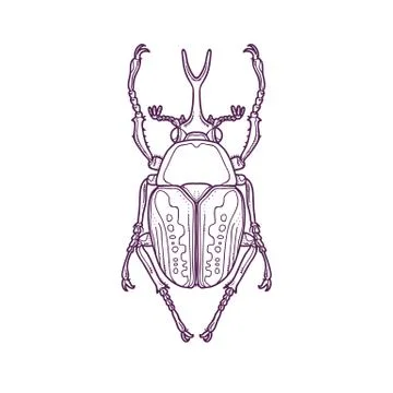 Outline Scarab Beetle Bug Insect Stock Illustration