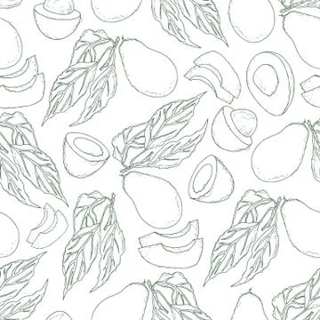 Outline seamless pattern with avocado and slice Stock Illustration