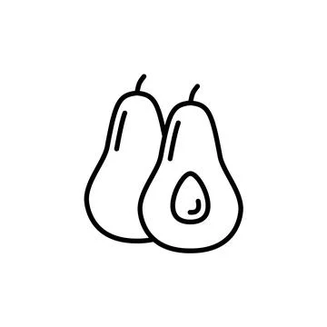 Outline, simple vector avacado icon isolated on white background. Stock Illustration