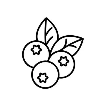 Outline, simple vector blueberry icon isolated on white background. Stock Illustration