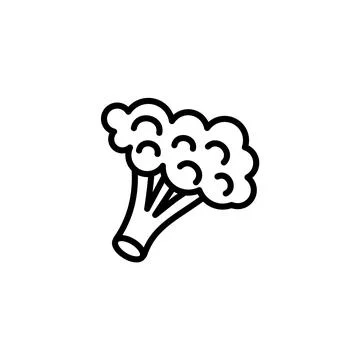 Outline, simple vector broccoli icon isolated on white background. Stock Illustration