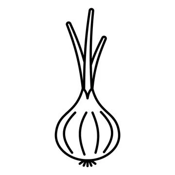 Outline, simple vector onion vegetable icon isolated on white background. Stock Illustration