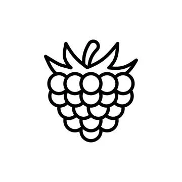 Outline, simple vector raspberry icon isolated on white background. Stock Illustration