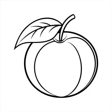 Outline of a single orange with leaf for coloring book page Stock Illustration