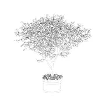 Outline of a small decorative tree in a pot from black lines isolated on a .. Illustrazione stock