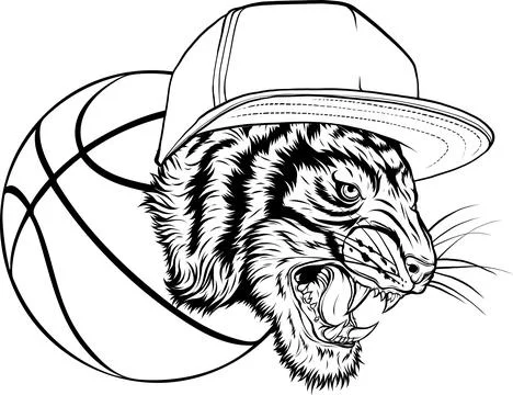 Outline of Tiger head vector illustration design Illustrazione stock