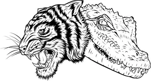 Outline of Tiger head vector illustration design Illustrazione stock