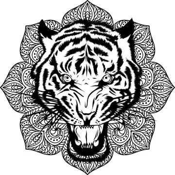 Outline of Tiger head vector illustration design 스톡 일러스트