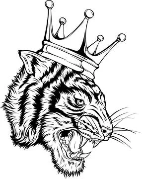 Outline of Tiger head vector illustration design Illustrazione stock