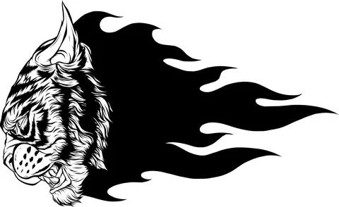 Outline of Tiger head vector illustration design 스톡 일러스트