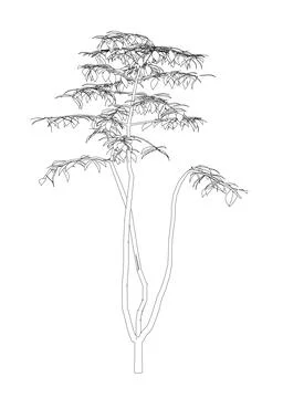 Outline of a tree from black lines isolated on a white background. 3D. Vector Stock Illustration