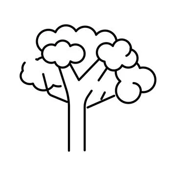 Outline tree icon representing nature and environment Stock Illustration