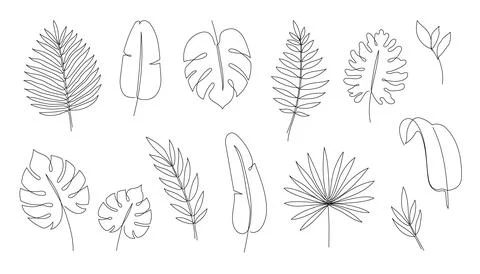 Outline tropic palm leaf set. One continuous line art tropic tree leaves Stock Illustration