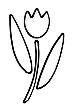 Outline of a tulip Ilustração Stock