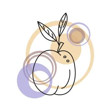 Outline vector illustration of a plum with pits, abstract color in the form of a 스톡 일러스트